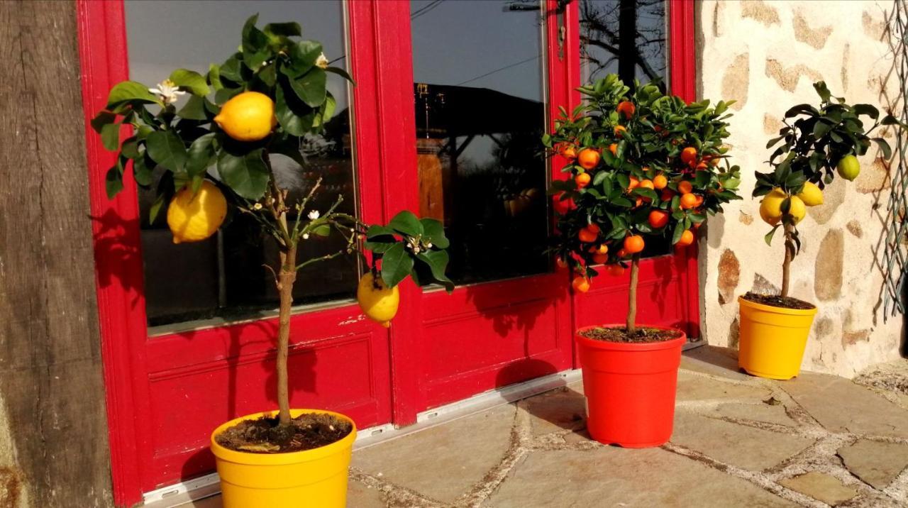 مبيت وإفطار Montrollet La Grange Ancienne المظهر الخارجي الصورة